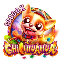 Facai : CHILIHUAHUA - FOXYBET77