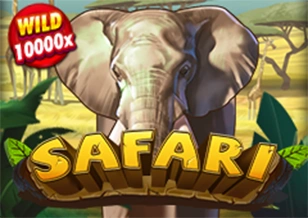 Safari - FOXYBET77